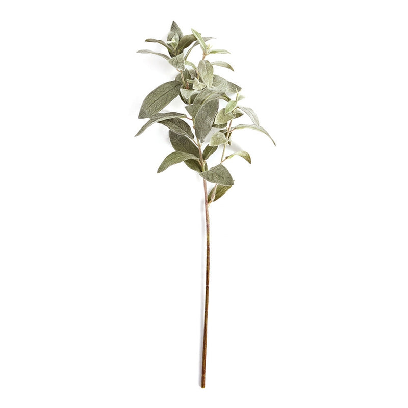 Napa Home Garden, SAGE 21" STEM,tp220