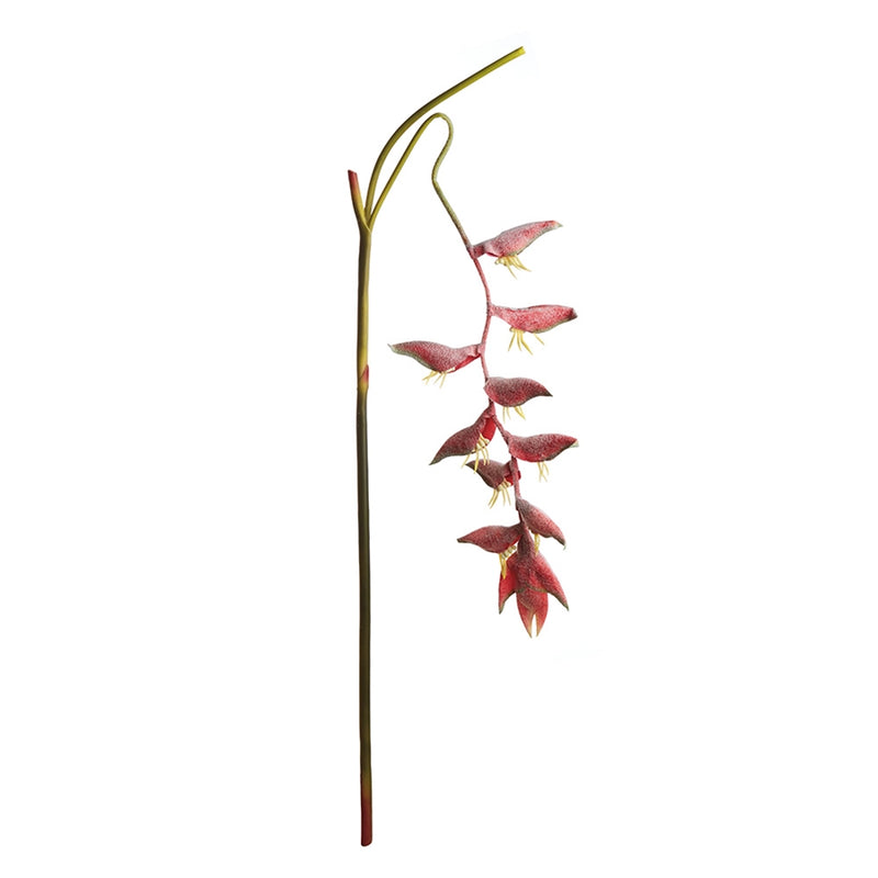 Napa Home Garden, HANGING HELECONIA 50.5" STEM PINK,tp236