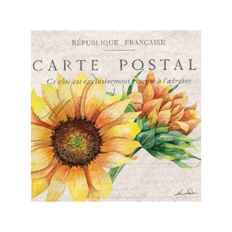 Cocktail Napkin, Sunflower Carte Postal,40 ct 3 ply,z4nc7916