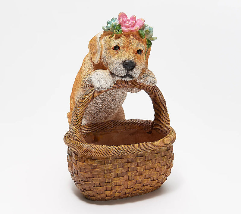 Succulent Planter Basket, , Dog,zq84g3466